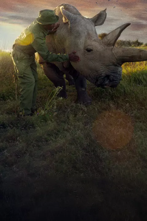 The Last Rhinos: A New Hope