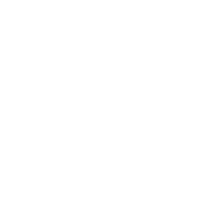 MHz Networks
